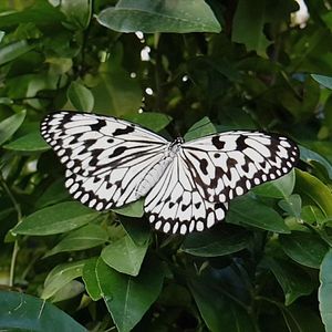 Bilder Wer wir gewesen sein werden