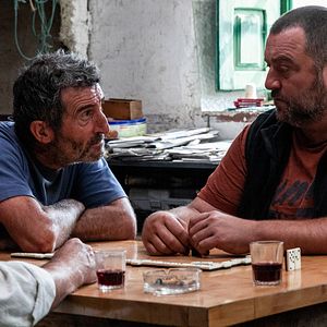 Bilder Wie wilde Tiere