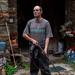 Bilder Wie wilde Tiere