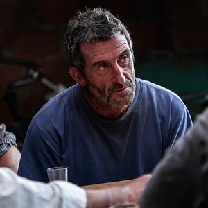 Bilder Wie wilde Tiere