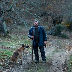 Bilder Wie wilde Tiere