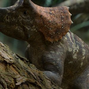 Bilder Ein Planet vor unserer Zeit