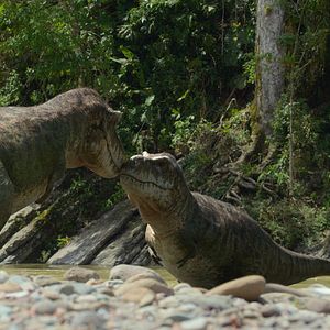 Bilder Ein Planet vor unserer Zeit