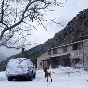 Bilder Die geheime Tochter