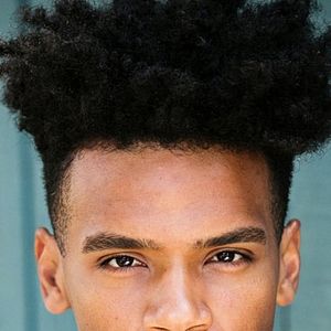 Bilder Armand Fields