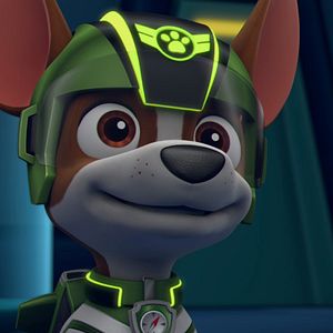 Bilder Paw Patrol: Jet to the Rescue - Rettung im Anflug