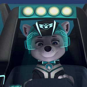 Bilder Paw Patrol: Jet to the Rescue - Rettung im Anflug