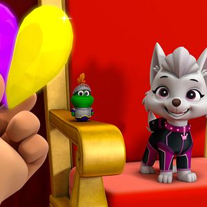 Bilder Paw Patrol: Jet to the Rescue - Rettung im Anflug