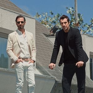 Bilder Der Vogel und die Löwin