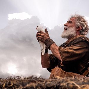 Bilder Oscar Magrini