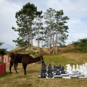 Bilder Mein Lotta-Leben 2 - Alles Tschaka mit Alpaka