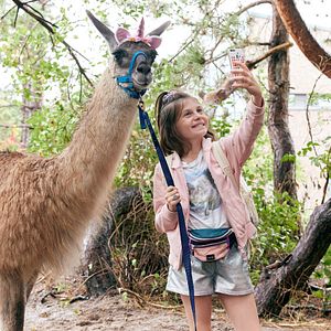 Bilder Mein Lotta-Leben 2 - Alles Tschaka mit Alpaka