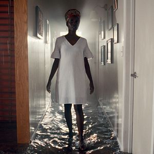 Bilder Trees Of Peace