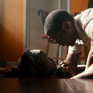 Bilder Trees Of Peace