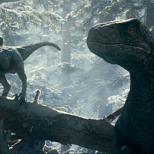Bilder Jurassic World 3: Ein neues Zeitalter