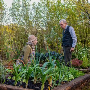 Bilder Timothy Spall