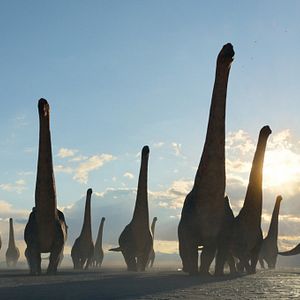 Bilder Ein Planet vor unserer Zeit