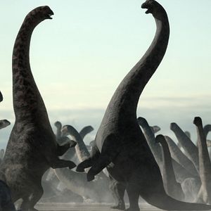 Bilder Ein Planet vor unserer Zeit