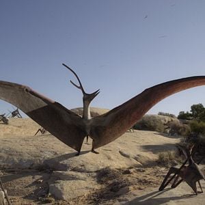 Bilder Ein Planet vor unserer Zeit