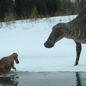 Bilder Ein Planet vor unserer Zeit