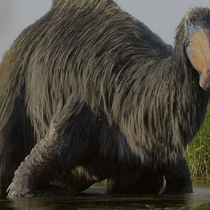 Bilder Ein Planet vor unserer Zeit