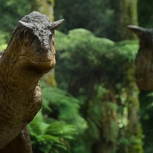 Bilder Ein Planet vor unserer Zeit