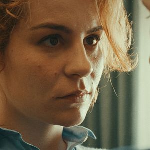 Bilder Das Pfauenparadies