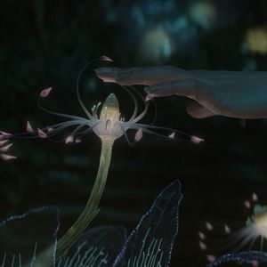 Bilder Vesper Chronicles