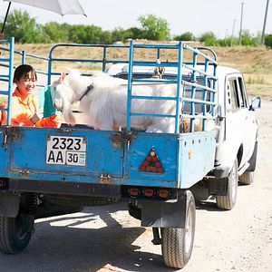 Bilder To The Ends Of The Earth