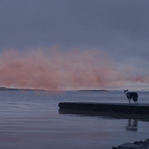 Bilder The Pink Cloud - Zusammen. Allein. Für immer.