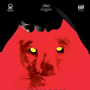 Bilder Casa de Antiguidades