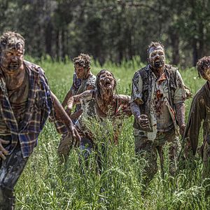 Bilder Wyrmwood: Apocalypse