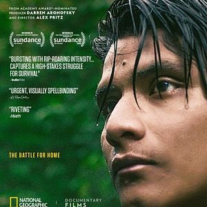 Bilder The Territory