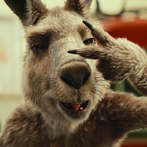 Bilder Die Känguru-Verschwörung