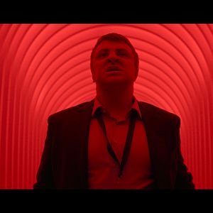 Bilder King of Stonks