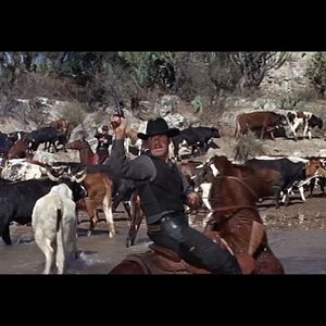 Bilder Die fünf Geächteten