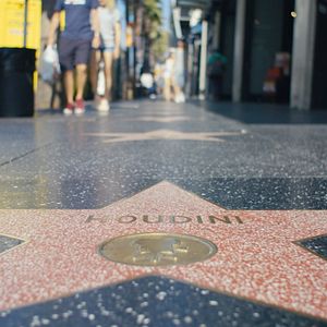 Bilder The Expert At The Card Table - Looking For Erdnase