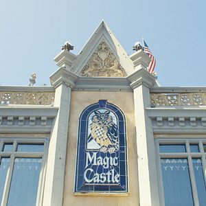 Bilder The Expert At The Card Table - Looking For Erdnase