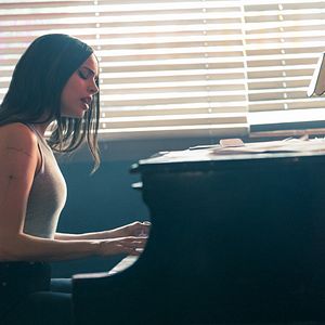 Bilder Purple Hearts