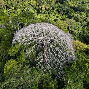Bilder Legacy - Das Erbe der Menschheit