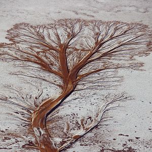 Bilder Legacy - Das Erbe der Menschheit