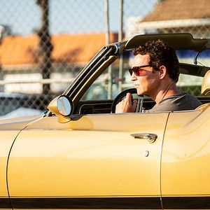 Bilder Animal Kingdom