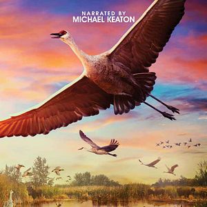 Bilder Wings Over Water