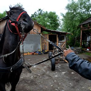 Bilder Europa Passage