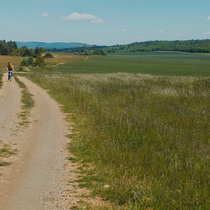 Bilder Die Farbe des Windes