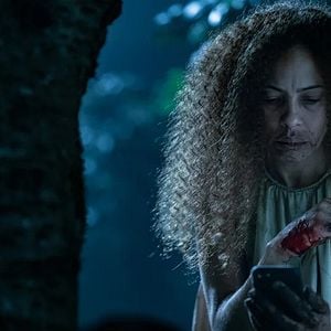 Bilder Yellowjackets