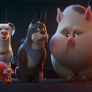 Bilder DC League Of Super-Pets