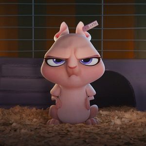 Bilder DC League Of Super-Pets