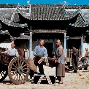 Bilder Tiger & Dragon