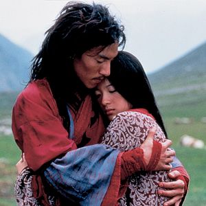 Bilder Tiger & Dragon